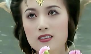 广场舞孔雀公主背面