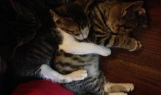 苏州青旅旅行社 苏州青旅旅行社