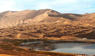 骆驼有几层眼睫毛?