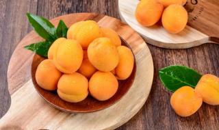 梅子金黄杏子肥全诗