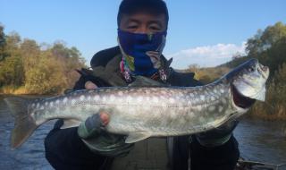 钓鱼发烧友攻略最新