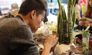 有你就心安 有你就心安