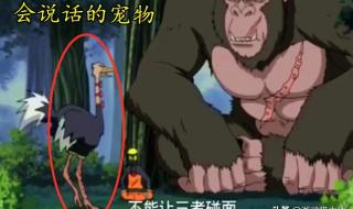 世界上最恶心的魔方