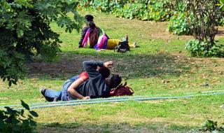 印度亲嘴舞 印度亲嘴舞