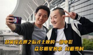 赵英俊电影 赵英俊电影