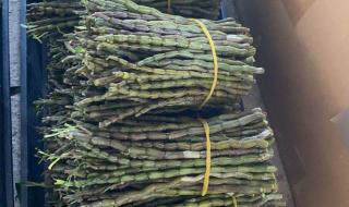 雁荡山特产 雁荡山特产