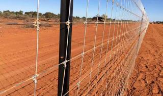 养殖围栏网 养殖围栏网