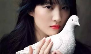 鹅蛋脸适合什么刘海