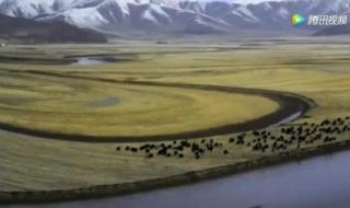 爱悠悠恨悠悠是什么歌 爱悠悠恨悠悠是什么歌