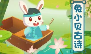 小学关于兔子的古诗 小学关于兔子的古诗