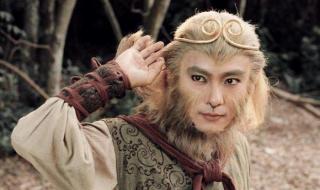 孙悟空陈浩民全集